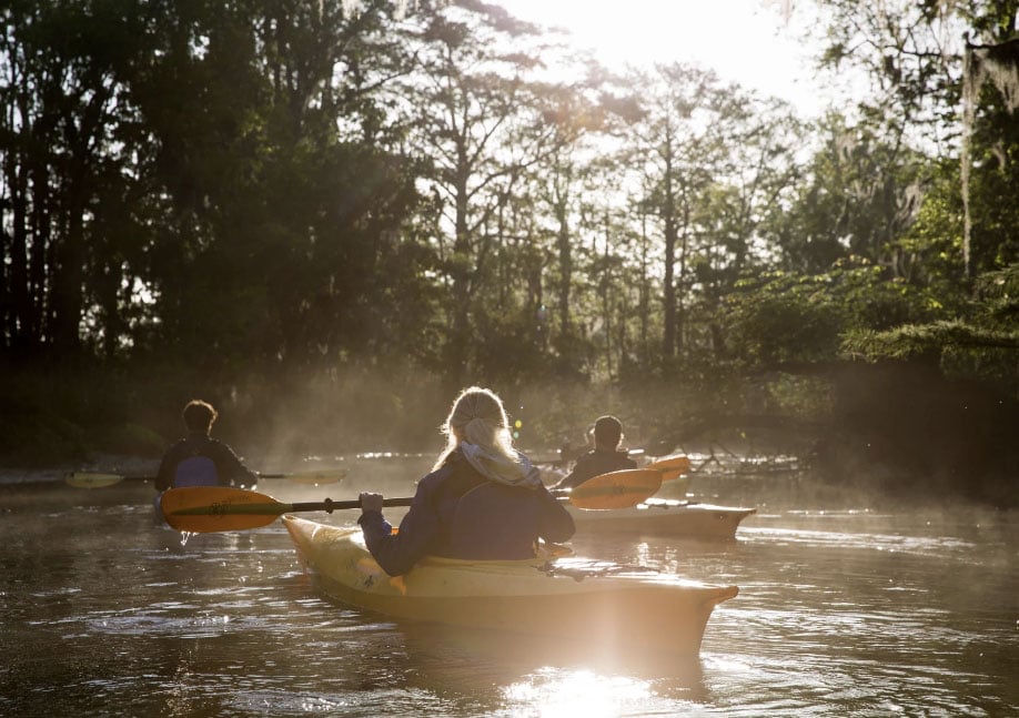 A group kayaking trip down a river